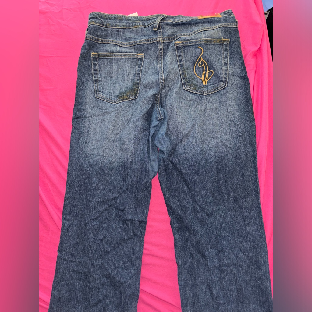 Baby Phat Jeans